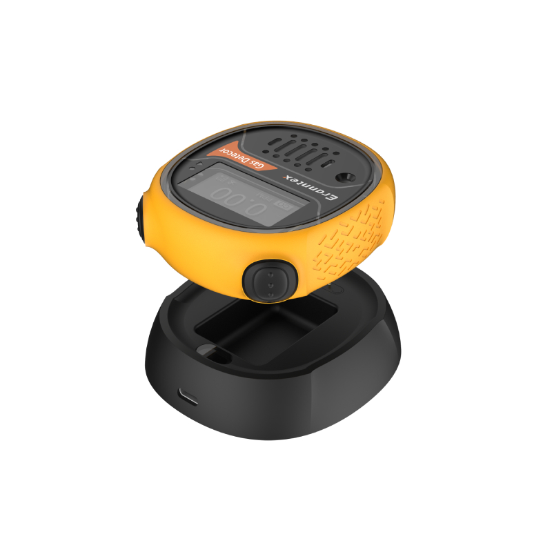 決定氣體檢測(cè)儀價(jià)格的因素有哪些？